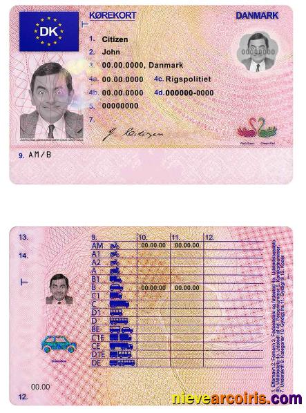 Denmark driving license